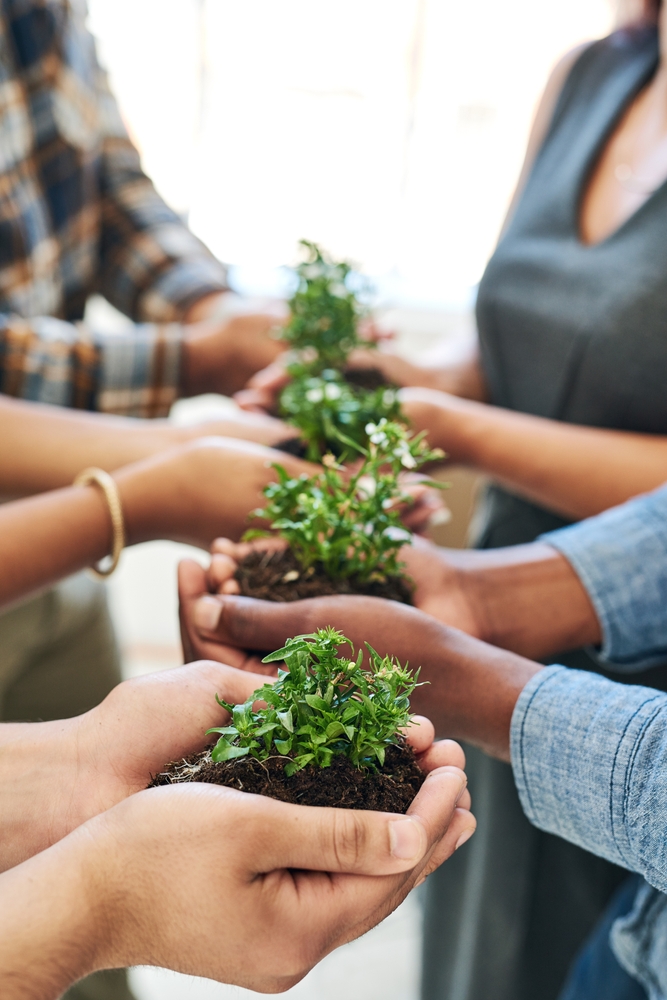 Accionistas e inversionistas